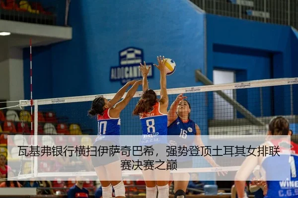 wa-ji-fu-yin-hang-heng-sao-yi-sa-qi-ba-xi-qiang-shi-deng-ding-tu-er-qi-nv-pai-lian-sai-jue-sai-zhi-dian-2-226.jpg
