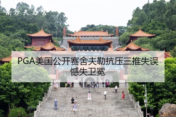 mei-guo-gong-kai-sai-she-fu-lei-kang-ya-san-tui-shi-wu-han-shi-wei-mian-3-317.jpg
