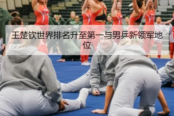 wang-chu-qin-shi-jie-pai-ming-sheng-zhi-di-yi-yu-nan-ping-xin-ling-jun-di-wei-3-988.jpg